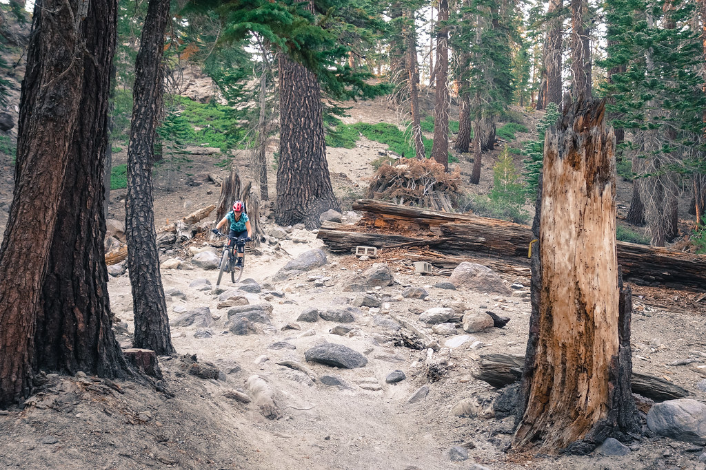 Best downhill mountain biking destinations Mammoth bike park one of the Top 14 bike parks for MTB trips Flickr CC image by Ben 1_ Best downhill mountain biking destinations Mammoth bike park one of the Top 14 bike parks for MTB trips Flickr CC image by Ben 1_