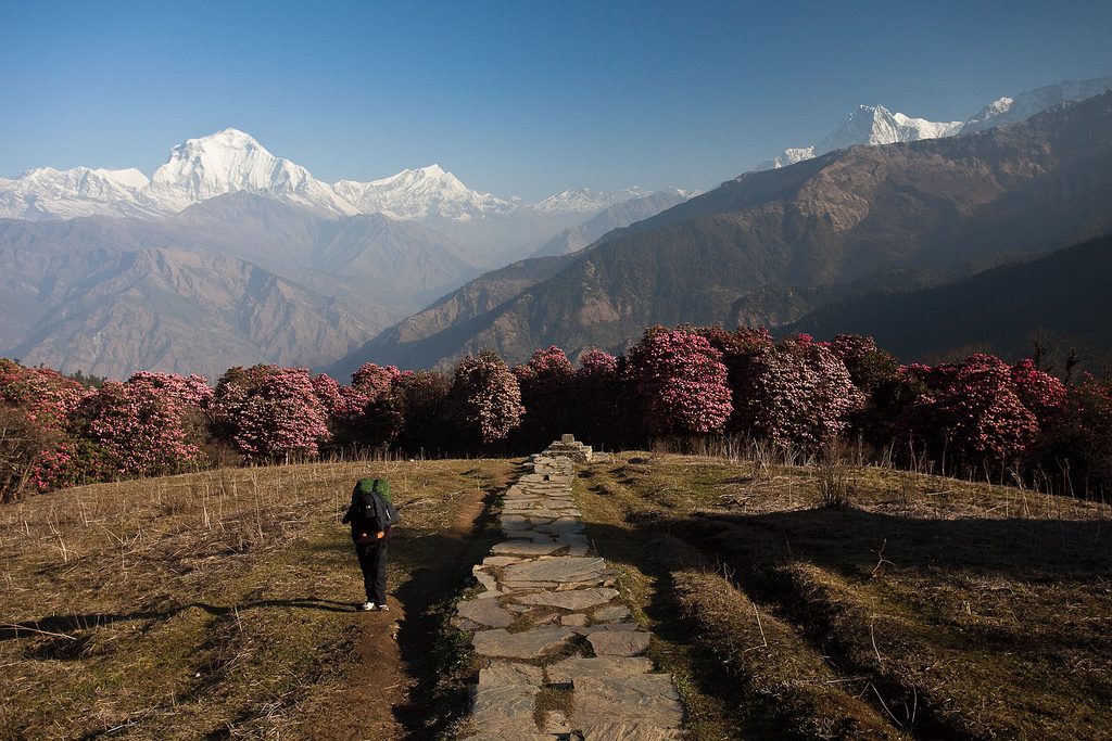 Why trek Annapurna vs Everest Base Camp in Nepal? Flickr CC image by by gregww66