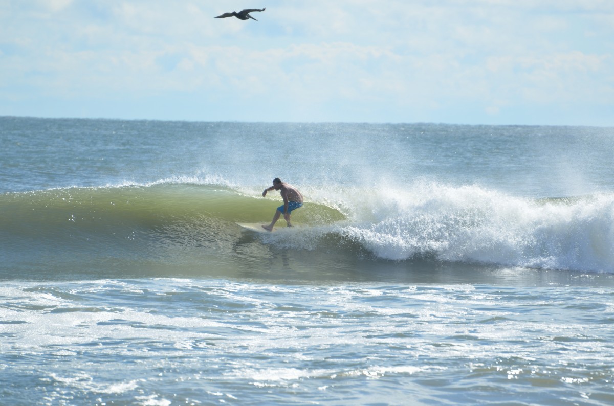 Surfing in hawaii pxhere royalty free image