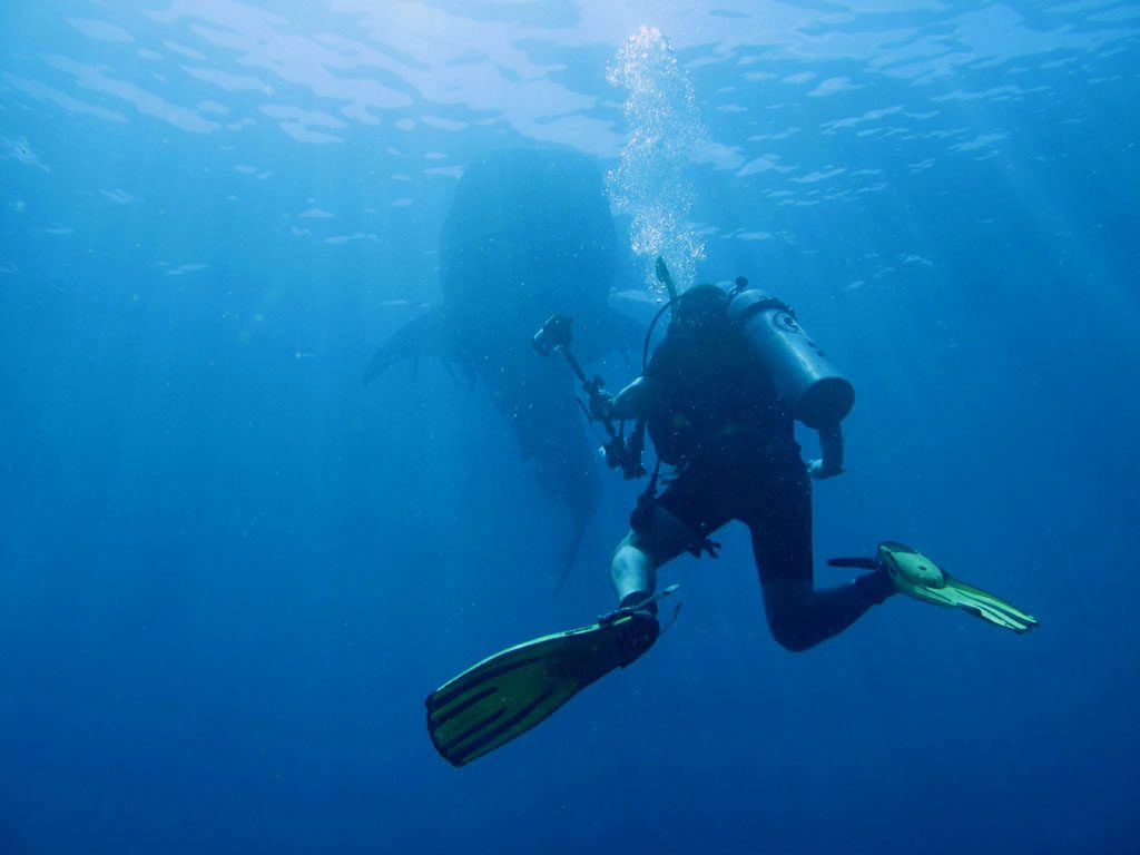 When not to dive - Flickrr CC image by Marcel Ekkel