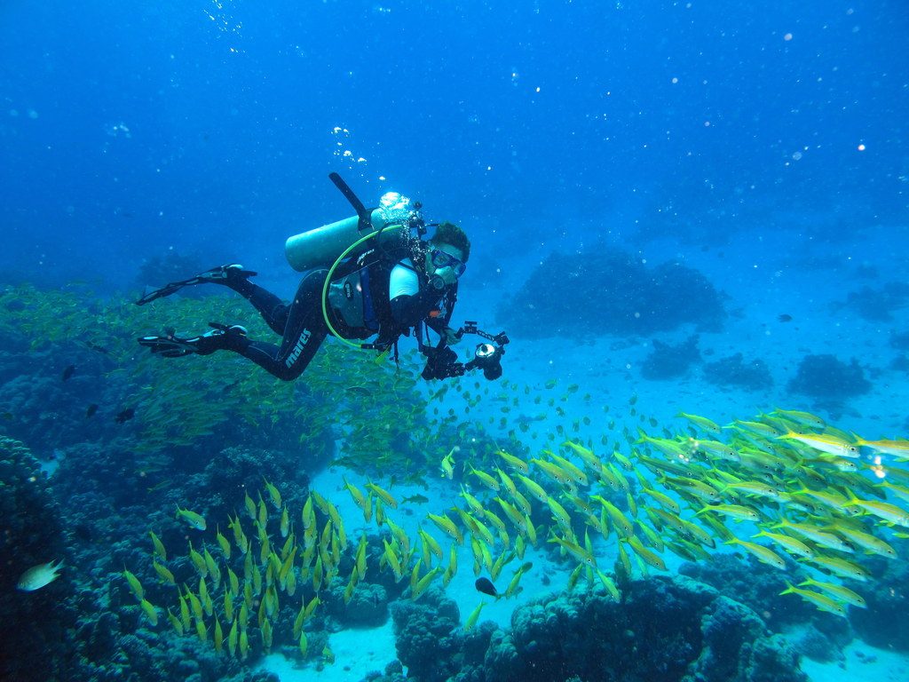 when not to dive Flickr CC image by Derek Keats