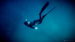 Tips for buying a snorkel for scuba diving and snorkeling and freediving pxhere royalty free image