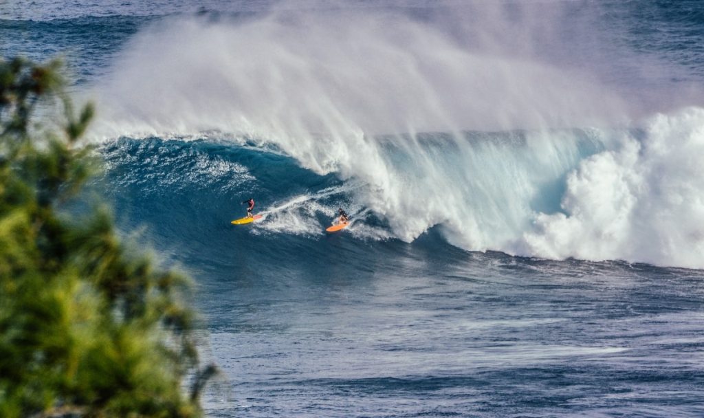 The ugliness and art of surfing for money pxhere royalty free image
