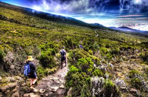 Kilimanjaro when to trek kili in Tanzania Flickr CC Image by SamHawleywood