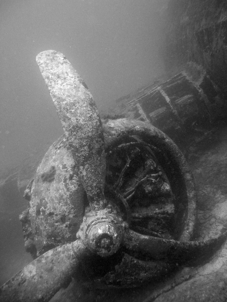 French fine diving Best France scuba dive sites Flickr CC image by Arn@ud Ab@die