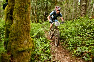 Ireland mountain biking trails Wikimedia image by Dave Silver