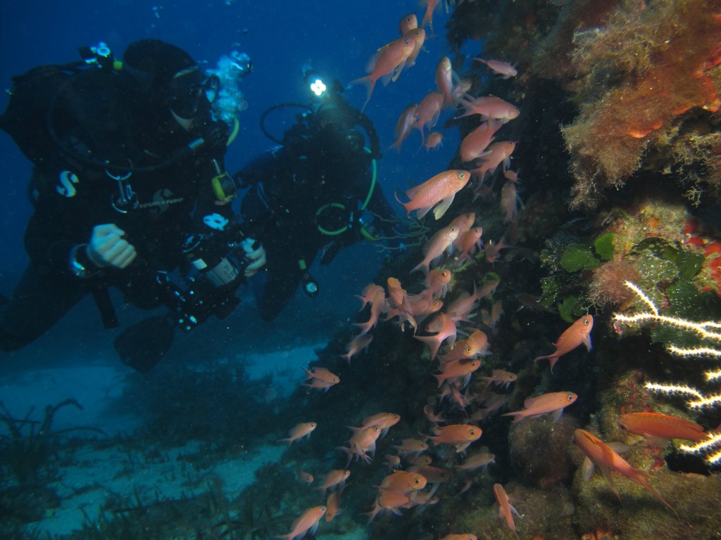 Biarritz Scuba Diving Flickr image by Arn@ud Ab@die Biarritz Scuba Diving Flickr image by Arn@ud Ab@die