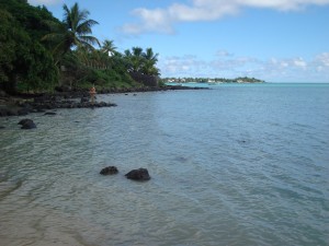Mauritius Rafting Flick image by Adamina