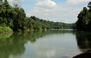 Singapore White Rafting Flickr image by Pekka Tamminen