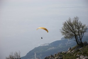 Split Paragliding Google Image by Finouka Stocks