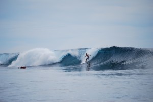 Luxury surfing holidays flickr image by colmsurf