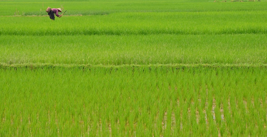 10 tips for a Vietnam overland motorcycle adventure Flickr image by Global Water Forum