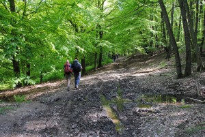 Belgium Trekking Flickr image by Dykam