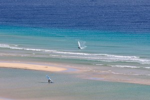 Canary Islands Windsurfing Wikimedia Commons image by Hansueli Krapf