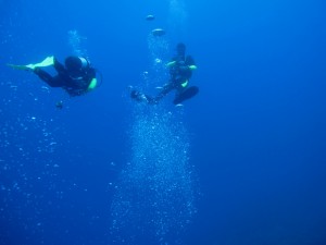 Europe Scuba Diving Flickr image by nsyll