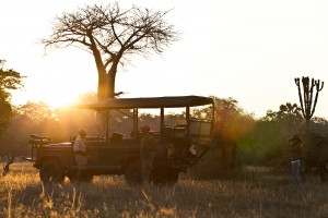 Image by The Responsible Safari Co.