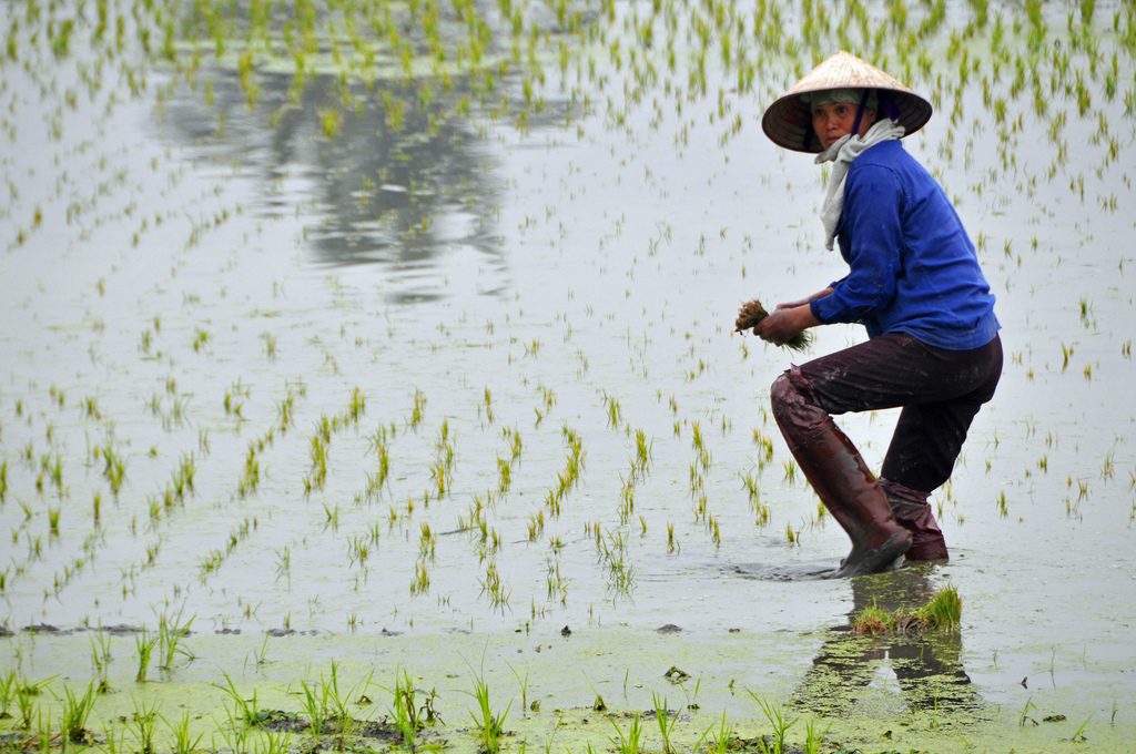 10 tips for a Vietnam overland motorcycle adventure Flickr image by archer10 (Dennis) 87M Views