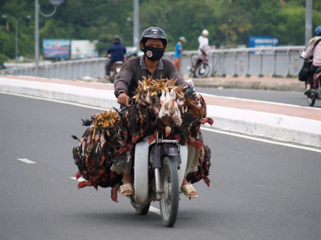 10 tips for a Vietnam overland motorcycle adventure Flickr image by wirralwater
