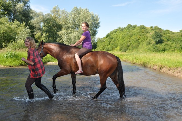 50% off Horse Riding Courtesy of Ranch Amadeus