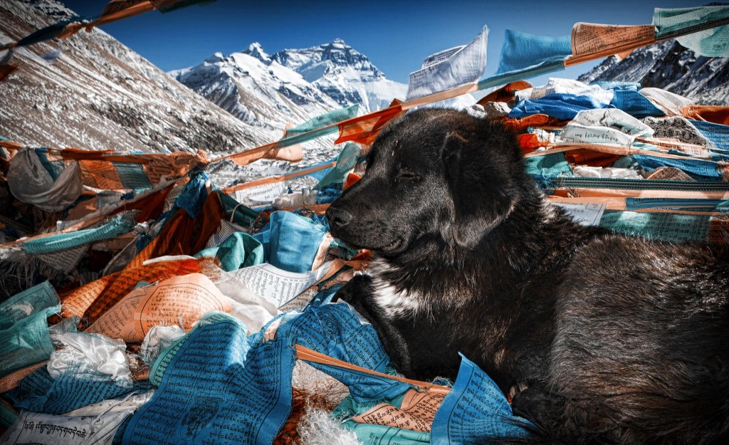 Iconic treks in asia everest base camp Flickr image by Christopher Michel