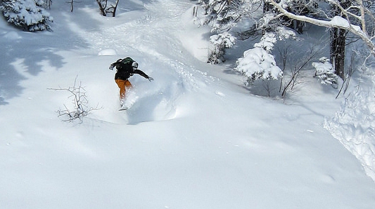 10 reasons to book a Japan ski holiday this winter 1 Flickr image by Perfect Zero