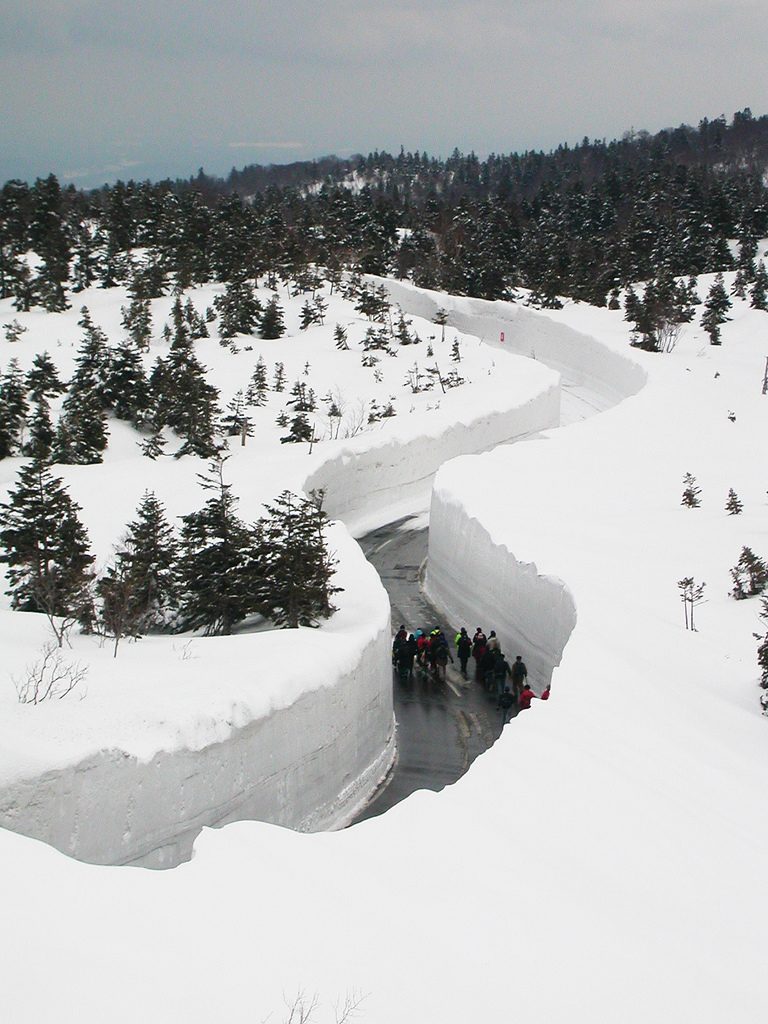 10 reasons to book a Japan ski holiday this winter Flickr image by dSeneste.dk