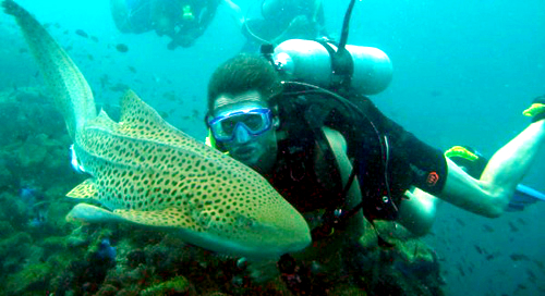 Review of Phayam Divers PADI Open Water Koh Phayam diving holiday
