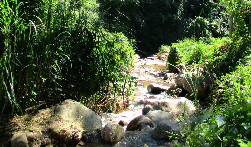 Review of Active Thailand trekking holiday in Chiang Dao mountains 7