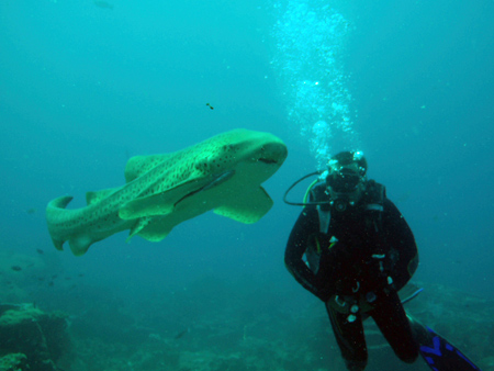 Review of Phayam Divers PADI Open Water Koh Phayam diving holiday
