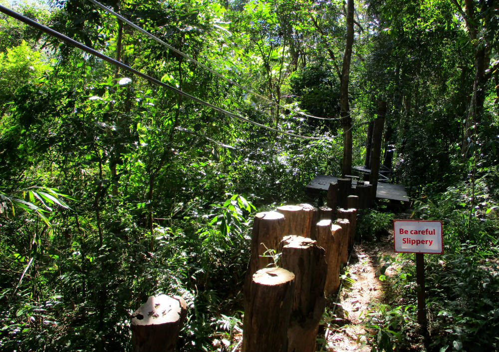 Review of Active Thailand hiking and ziplining in Chiang Mai