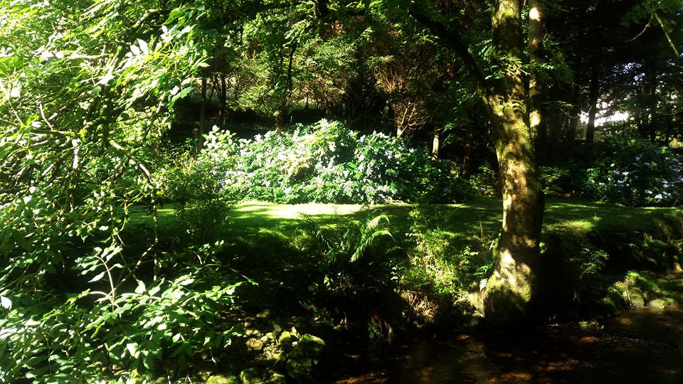 Bodmin Moor Yoga break wellness weekends in Cornwall