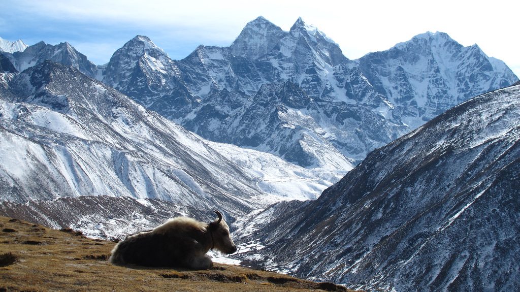 Beginner mountaineering in Nepal lobuche one of the 4 best Nepalese trekking peaks Flickr CC image by Stefanos Nikologianis