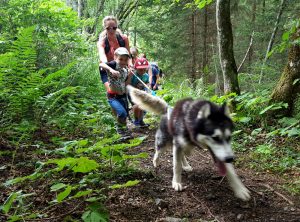 Review of Brandnertal multi activity family holiday in Vorarlberg - Huski Toni Austrian Alps the best multi activity holidays with kids