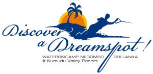 Discover a Dreamspot logo