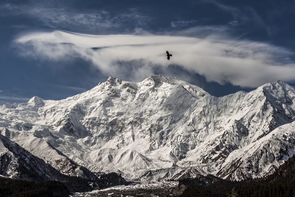 guide to pakistan trekking holidays - Fairy Meadows - Flickr cc image by Ahmed Sajjad Zaidi