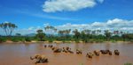 Explorer Kenya Tours and Travel Limited