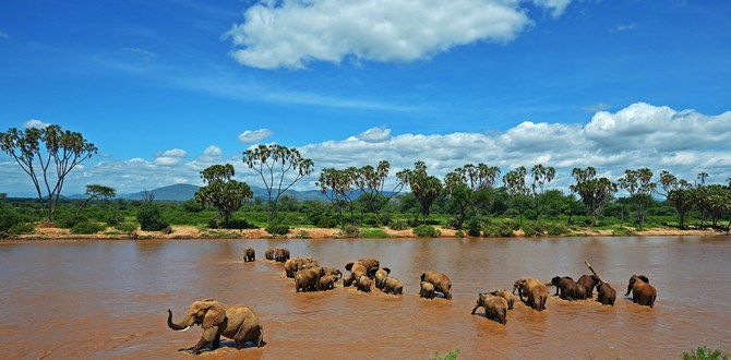 Explorer Kenya Tours and Travel Limited