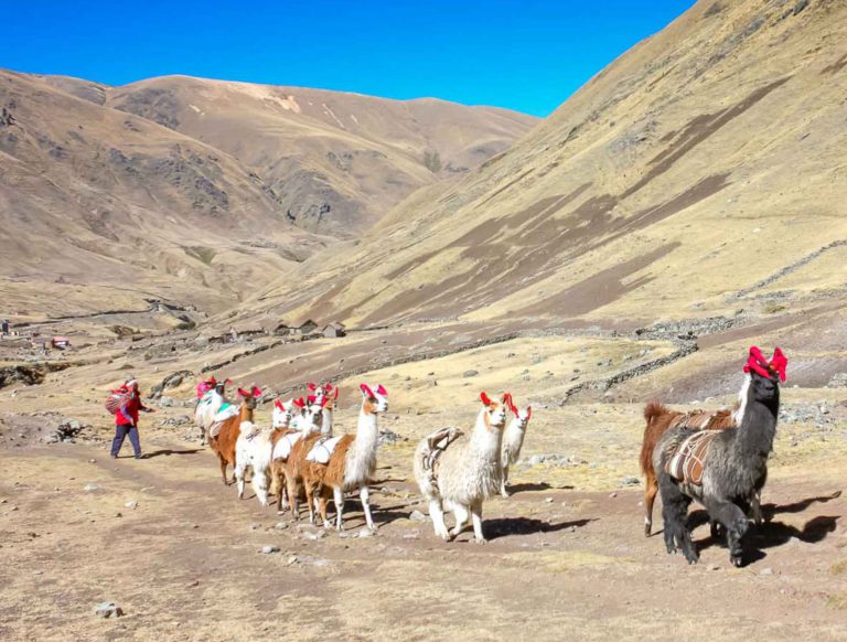 Explore Cusco Live and Interactive Tours from your own home