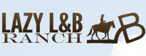 Wyoming_Dude_Ranch logo