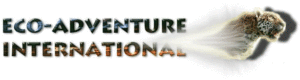eco adventure international logo