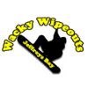 Wacky Wipeouts