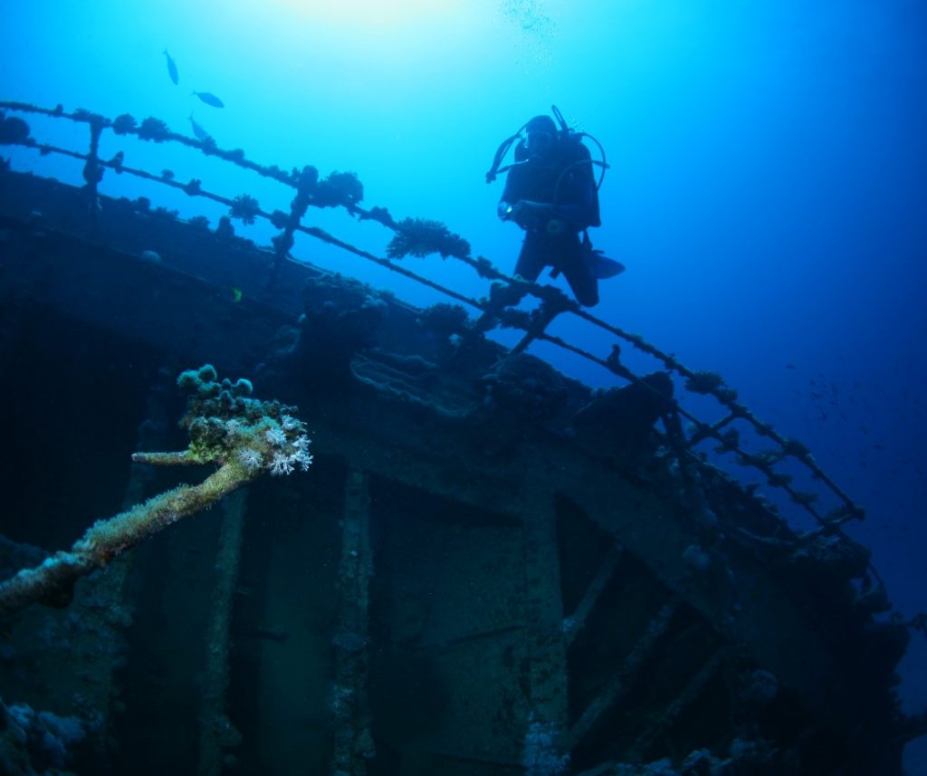 4 Day Red Sea Open Water Scuba Diving Course in Egypt