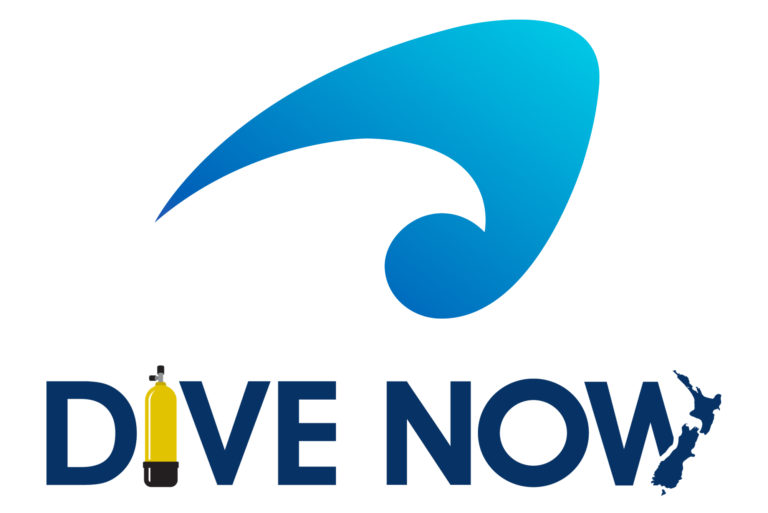 Dive Now