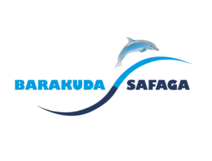 barracuda diving safaga