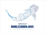 Ningaloo Whaleshark n Dive