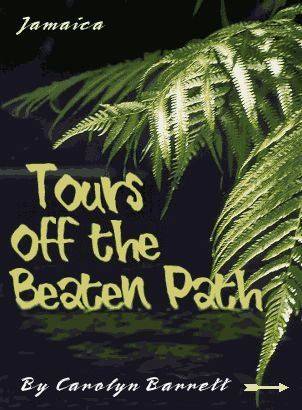 barretts adventures jamaica logo