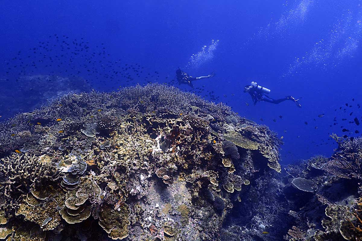 Dive holiday on Tioman Island