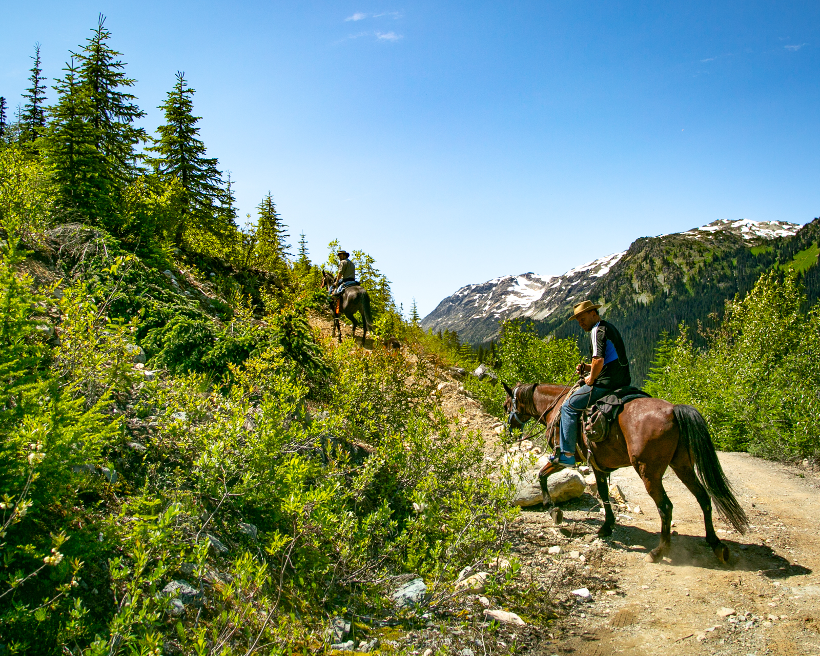multi-Day Horseback Ride Expedition in Canada