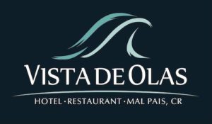 vista de olas logo