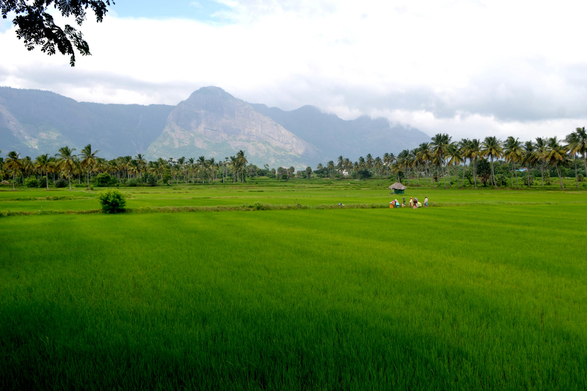 Travel Gallery